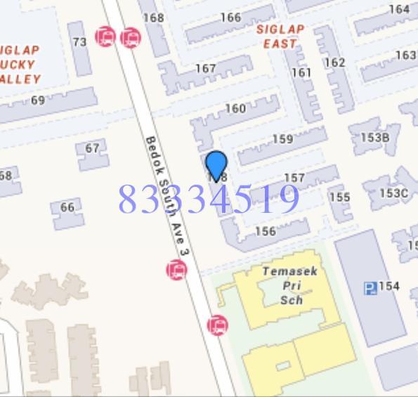 Blk 156 Bedok South Avenue 3 (Bedok), HDB 4 Rooms #160820602